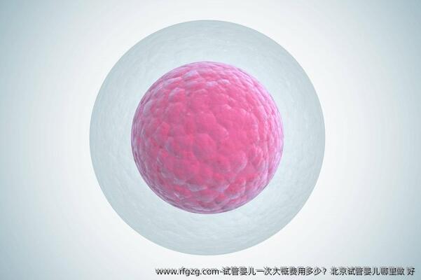 试管婴儿一次大概费用多少？北京试管婴儿哪里做 好