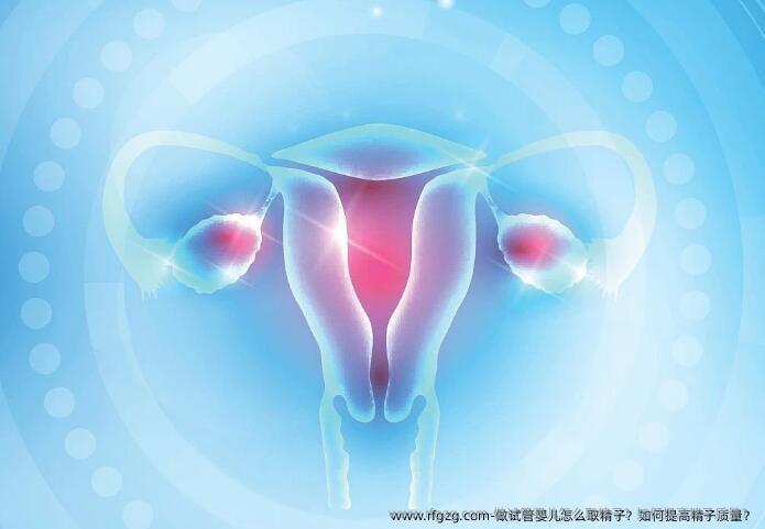 做试管婴儿怎么取精子？如何提高精子质量？