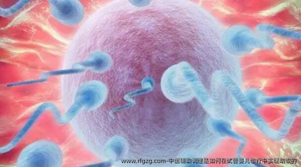 中医辅助调理是如何在试管婴儿诊疗中实现助攻的