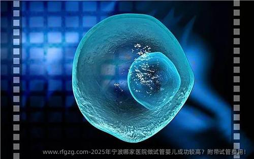 2025年宁波哪家医院做试管婴儿成功较高？附带试管费用！