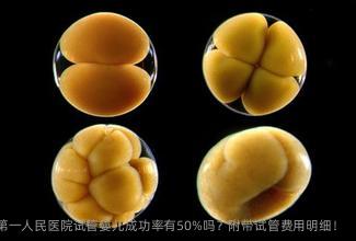 佛山市第一人民医院试管婴儿成功率有50%吗？附带试管费用明细！