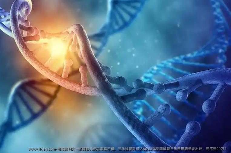 湘雅医院附一试管婴儿成功率真不低，三代试管竟可达60 25年泰国试管三代费用明细表出炉，要不要20万
