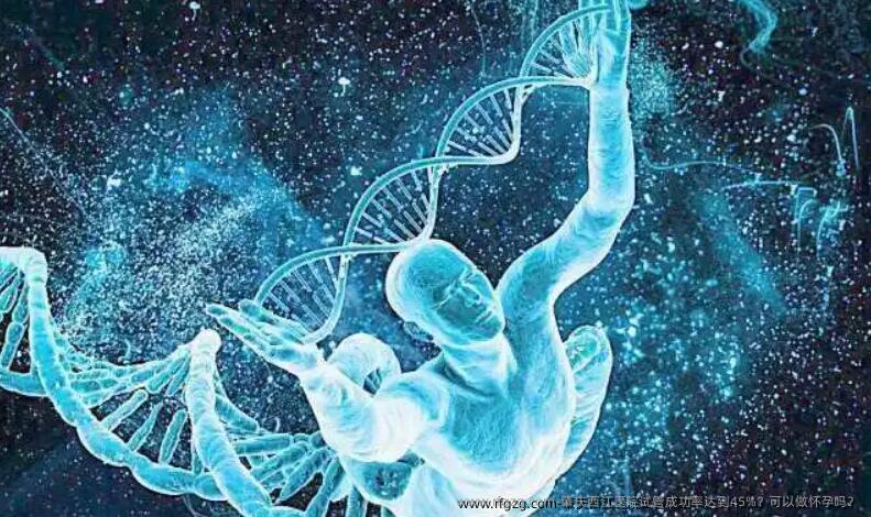 肇庆西江医院试管成功率达到45%？可以做怀孕吗？