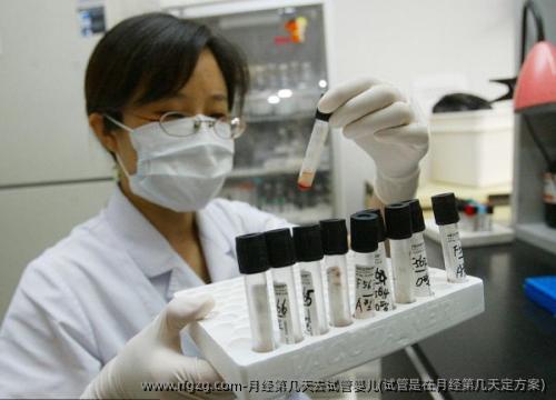 月经第几天去试管婴儿(试管是在月经第几天定方案)
