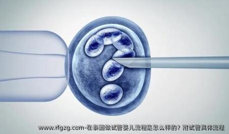 在泰国做试管婴儿流程是怎么样的？附试管具体流程