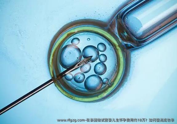 在泰国做试管婴儿生怀孕费用约18万？如何提高成功率