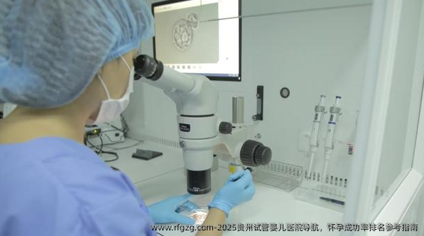 2025贵州试管婴儿医院导航，怀孕成功率排名参考指南