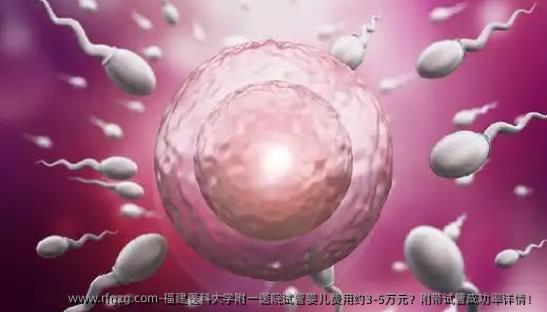 福建医科大学附一医院试管婴儿费用约3-5万元？附带试管成功率详情！