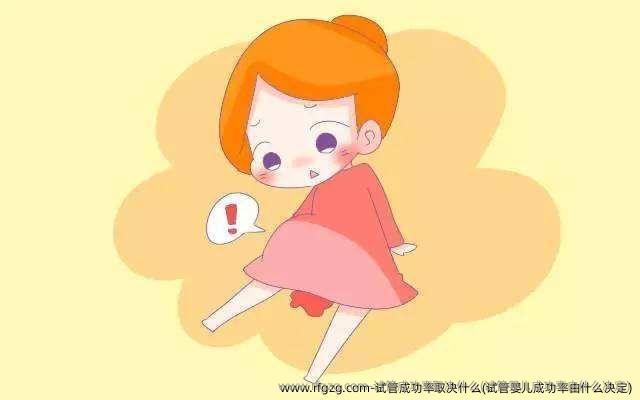 试管成功率取决什么(试管婴儿成功率由什么决定)