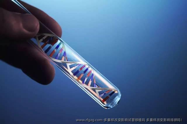 多囊样改变影响试管移植吗 多囊样改变影响排卵吗！