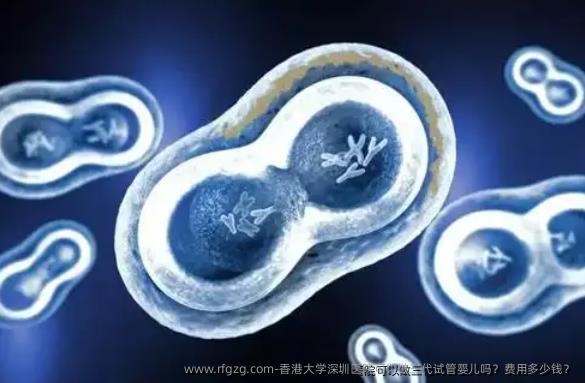 香港大学深圳医院可以做三代试管婴儿吗？费用多少钱？