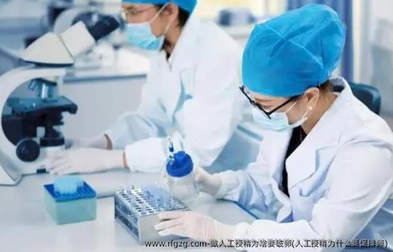 做人工授精为啥要破卵(人工授精为什么要促排卵)