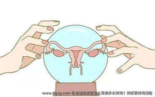 在泰国做试管婴儿需要多长时间？附试管时间流程