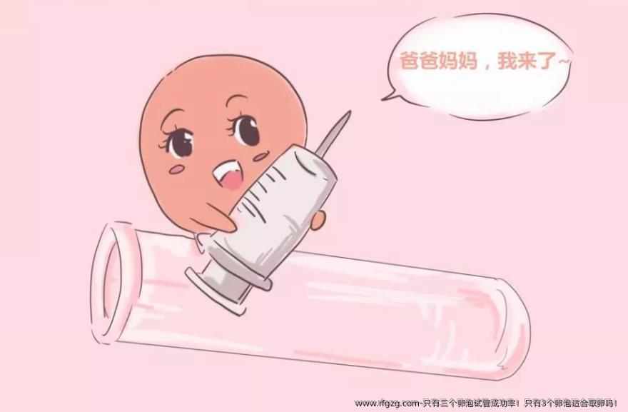 只有三个卵泡试管成功率！只有3个卵泡适合卵泡取出吗！