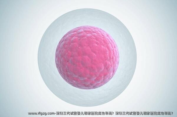 深圳三代试管婴儿哪家医院成功率高？深圳三代试管婴儿哪家医院成功率高？