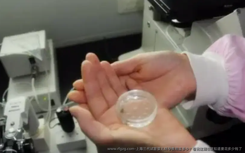 上海三代试管婴儿怀孕费用是多少？看完这篇你就知道要花多少钱了