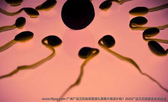 广州广医三院做试管婴儿费用大概多少钱？2025广医三院试管成功率排名