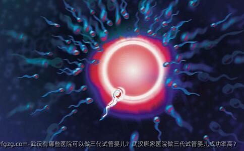 武汉有哪些医院可以做三代试管婴儿？武汉哪家医院做三代试管婴儿成功率高？