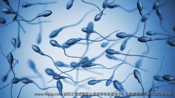 医院三代试管婴儿成功率排名是多少？三代试管婴儿医院成功率排名