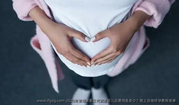 2025年柬埔寨第三代试管婴儿总费用是多少？附上当地怀孕费用清单