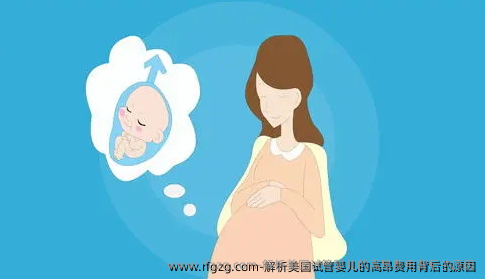 解析美国试管婴儿的高昂费用背后的原因