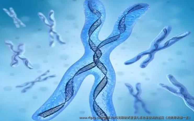 盘点2025沈阳做试管婴儿成功率较高的医院（附费用明细一览）
