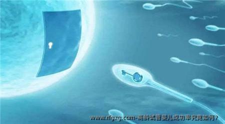高龄试管婴儿成功率究竟如何？高龄对试管婴儿成功率的影响