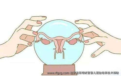 哈萨克斯坦试管婴儿胚胎培养技术探秘