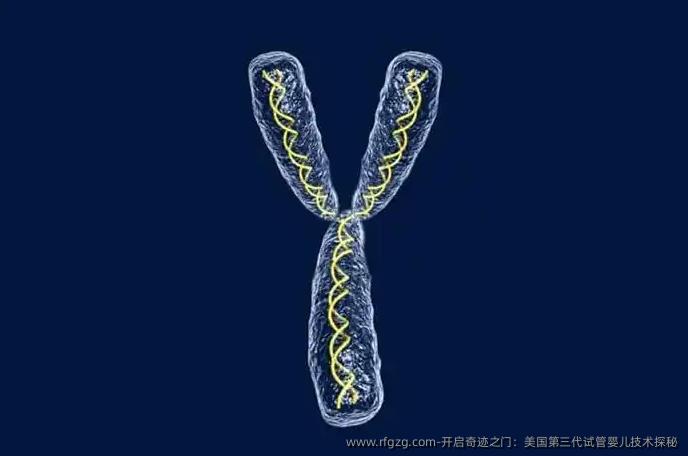 开启奇迹之门：美国第三代试管婴儿技术探秘