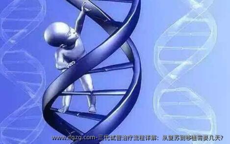 三代试管治疗流程详解：从复苏到移植需要几天？