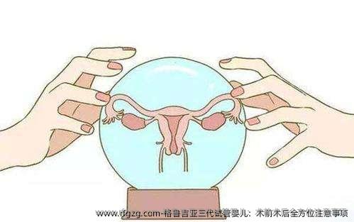 格鲁吉亚三代试管婴儿：术前术后全方位注意事项