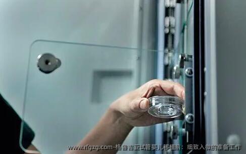 格鲁吉亚试管婴儿移植前：细致入微的准备工作