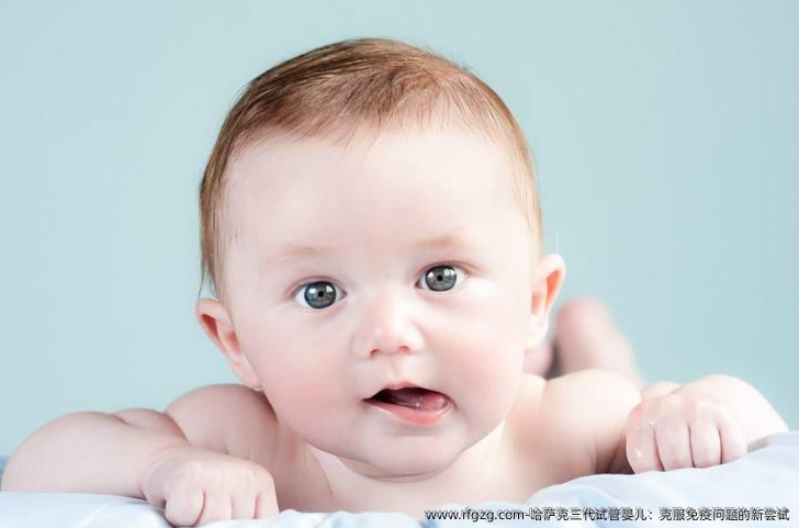 哈萨克三代试管婴儿：克服免疫问题的新尝试