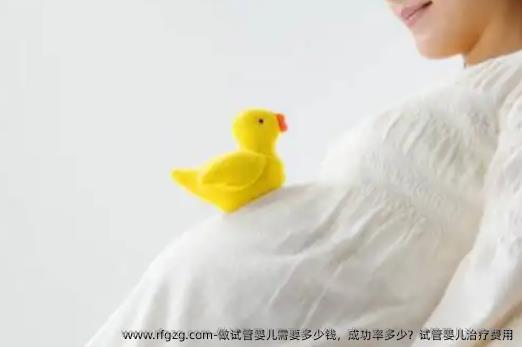 做试管婴儿需要多少钱，成功率多少？试管婴儿治疗费用
