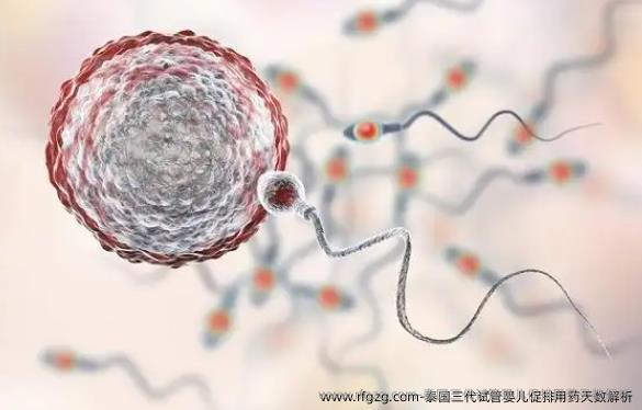泰国三代试管婴儿促排用药天数解析