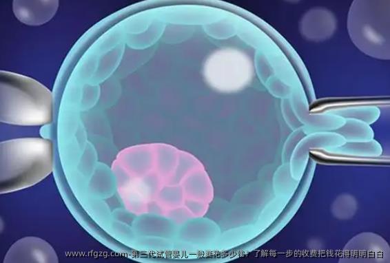 第三代试管婴儿一般要花多少钱？了解每一步的收费把钱花得明明白白