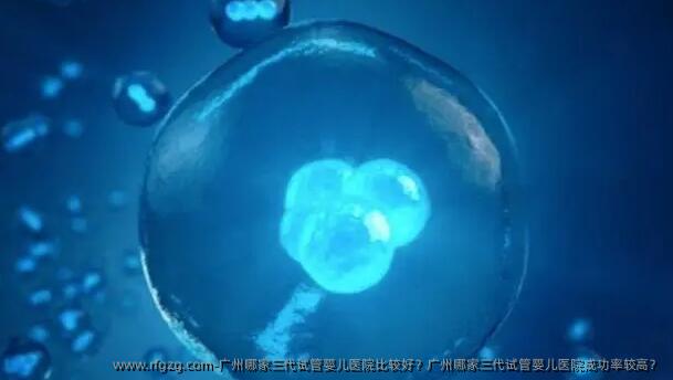 广州哪家三代试管婴儿医院比较好？广州哪家三代试管婴儿医院成功率较高？