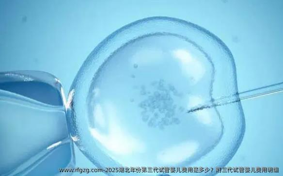 2025湖北年份第三代试管婴儿费用是多少？附三代试管婴儿费用明细