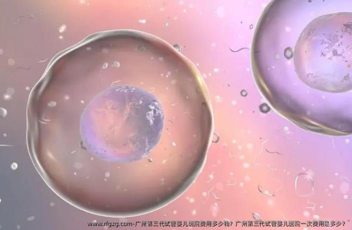 广州第三代试管婴儿医院费用多少钱？广州第三代试管婴儿医院一次费用是多少？