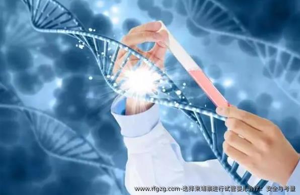 选择柬埔寨进行试管婴儿治疗：安全与考量