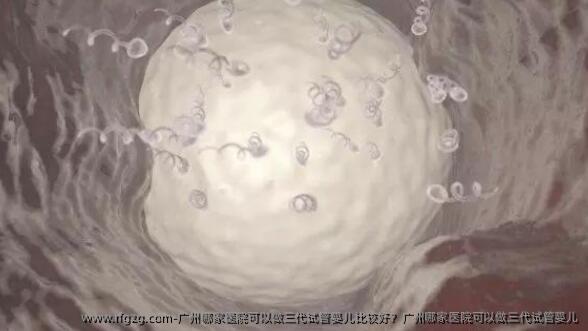 广州哪家医院可以做三代试管婴儿比较好？广州哪家医院可以做三代试管婴儿