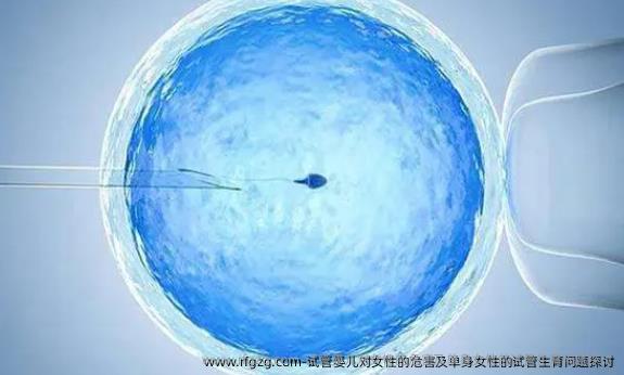 试管婴儿对女性的危害及单身女性的试管生育问题探讨