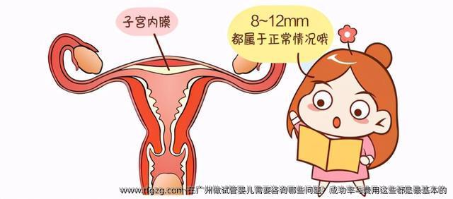 在广州做试管婴儿需要咨询哪些问题？成功率与费用这些都是基本的