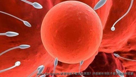 试管移植不着床的原因？详细解析导致不着床的各种因素