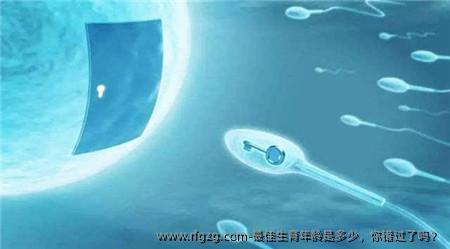 较好生育年龄是多少，你错过了吗？