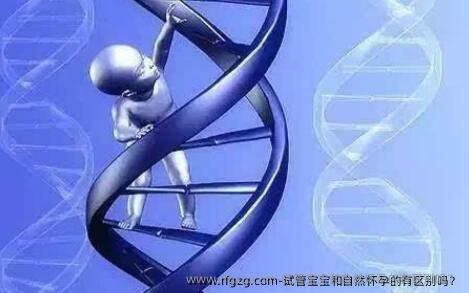 试管宝宝和自然怀孕的有区别吗？
