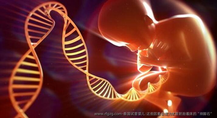 泰国试管婴儿:这些因素会成为试管胚胎着床的“绊脚石”