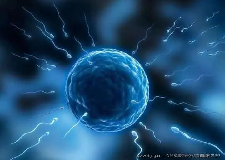女性多囊想要怀孕优选哪种方法？
