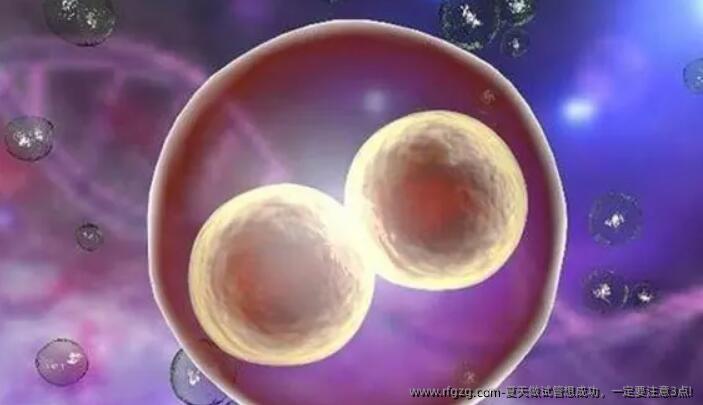 夏天做试管想成功，一定要注意3点!