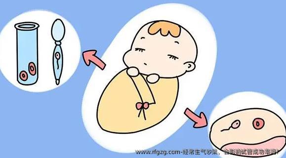 经常生气吵架，会影响试管成功率吗？